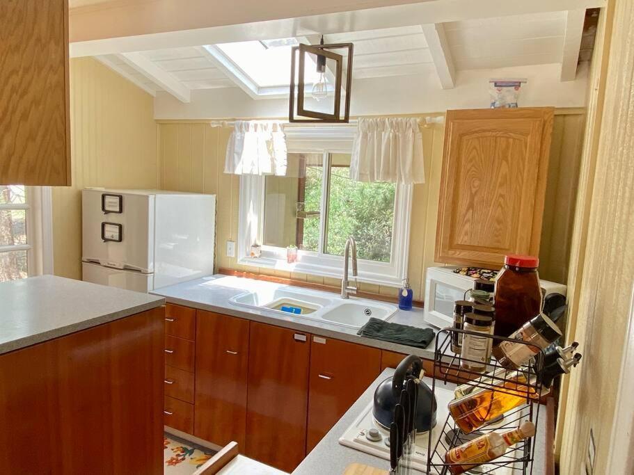 Snow Bunny Cottage, Pets Welcomed! Green Valley Lake Exterior photo