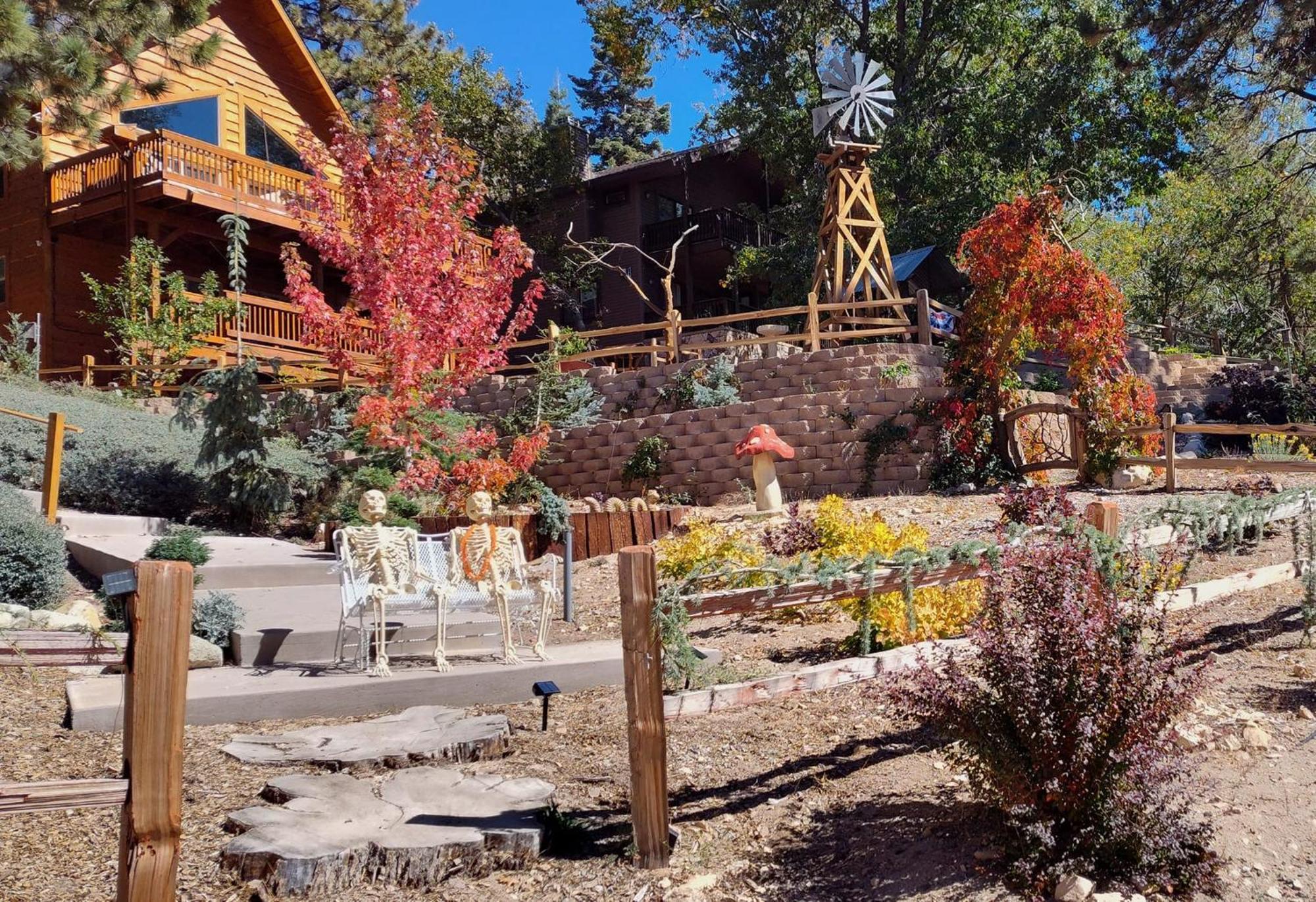 Snow Bunny Cottage, Pets Welcomed! Green Valley Lake Exterior photo