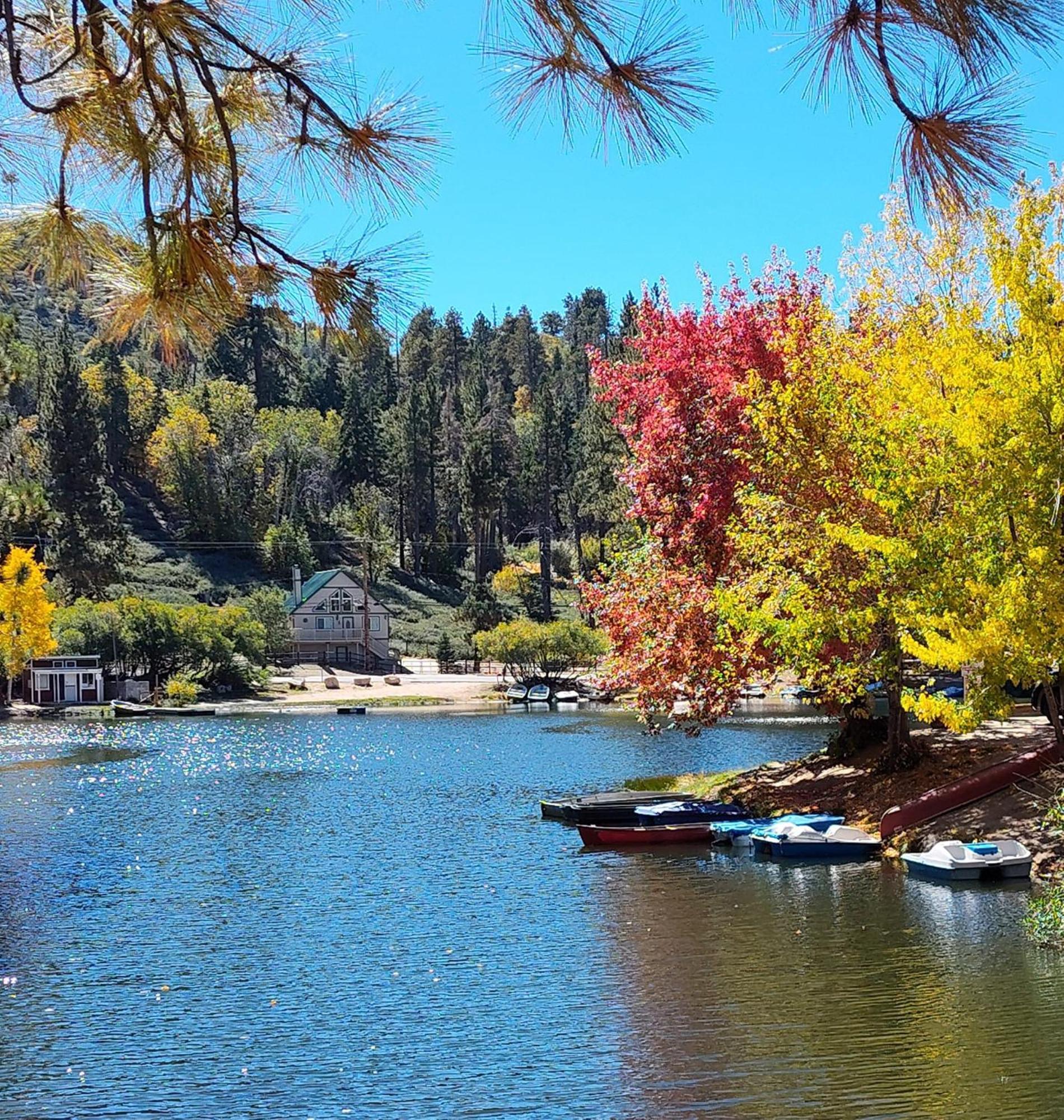 Snow Bunny Cottage, Pets Welcomed! Green Valley Lake Exterior photo