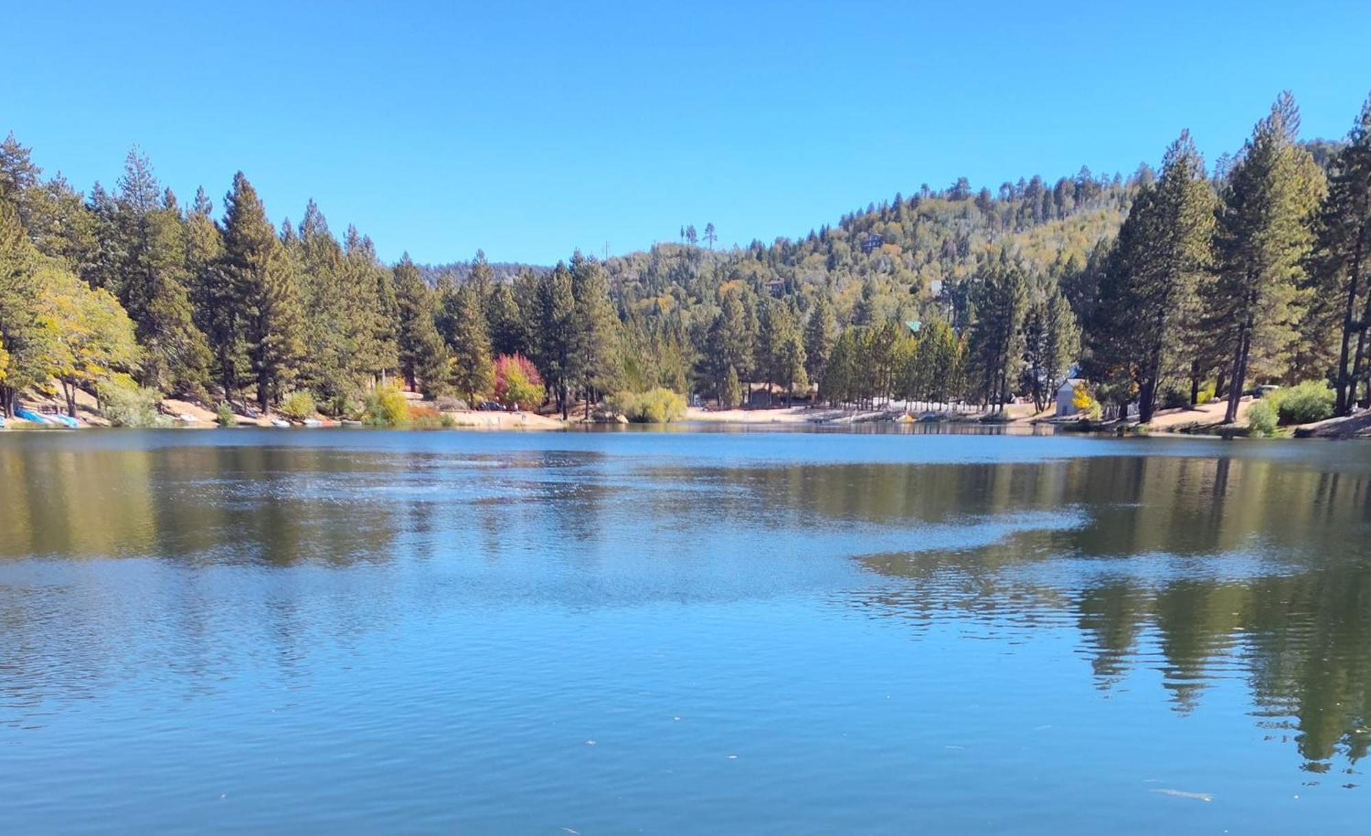 Snow Bunny Cottage, Pets Welcomed! Green Valley Lake Exterior photo